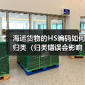 海运货物的HS编码如何归类(归类错误会影响清关吗)(图3) 海运货物的HS编码如何归类(归类错误会影响清关吗)(图3)