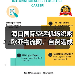 海口国际空运机场织密欧亚物流网，自贸港成跨境中转枢纽（第五航权 “双箭齐发”）（图2）