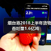 烟台港2018上半年货物吞吐量1.6亿吨（图1）
