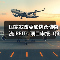 国家发改委加快仓储物流 REITs 项目申报（推动跨境电商市场扩围扩容）（图4）