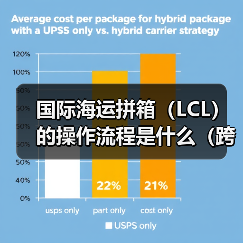 国际海运拼箱（LCL）的操作流程是什么（跨境电商和外贸人需要注意什么）