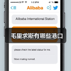 毛里求斯有哪些港口（图1）