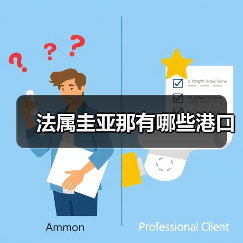 法属圭亚那有哪些港口(图2) 法属圭亚那有哪些港口(图2)