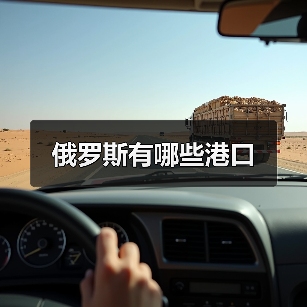 俄罗斯有哪些港口(图1) 俄罗斯有哪些港口(图1)