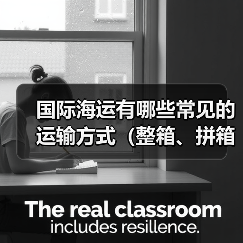 国际海运有哪些常见的运输方式（整箱、拼箱怎么选）（图2）
