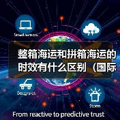 整箱海运和拼箱海运的时效有什么区别（国际海运干货知识分享）（图2）