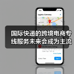 国际快递的跨境电商专线服务未来会成为主流吗(国际快递干货知识分享)(图2) 国际快递的跨境电商专线服务未来会成为主流吗(国际快递干货知识分享)(图2)