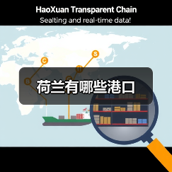 荷兰有哪些港口（图4）