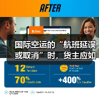 国际空运的“航班延误或取消”时，货主应如何应对（国际空运干货知识分享）（图2）