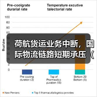 荷航货运业务中断，国际物流链路短期承压（国际空运新闻资讯）