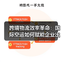 跨境物流效率革命:国际空运如何赋能企业出海(图3) 跨境物流效率革命:国际空运如何赋能企业出海(图3)