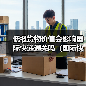 低报货物价值会影响国际快递通关吗(国际快递干货知识分享)(图3) 低报货物价值会影响国际快递通关吗(国际快递干货知识分享)(图3)