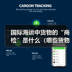 国际海运中货物的“商检”是什么(哪些货物需要商检)(图2) 国际海运中货物的“商检”是什么(哪些货物需要商检)(图2)