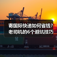 寄国际快递如何省钱?老司机的6个避坑技巧(图4) 寄国际快递如何省钱?老司机的6个避坑技巧(图4)