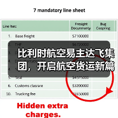 比利时航空易主达飞集团，开启航空货运新篇章（国际空运新闻资讯）（图4）