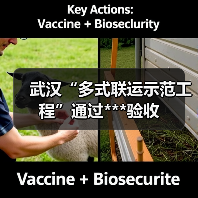 武汉“多式联运示范工程”通过***验收 武汉“多式联运示范工程”通过***验收