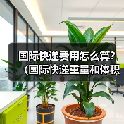 国际快递费用怎么算？（国际快递重量和体积哪个影响更大）（图4）