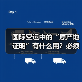 国际空运中的“原产地证明”有什么用?必须提供吗(图2) 国际空运中的“原产地证明”有什么用?必须提供吗(图2)