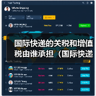 国际快递的关税和增值税由谁承担(国际快递干货知识分享)(图4) 国际快递的关税和增值税由谁承担(国际快递干货知识分享)(图4)