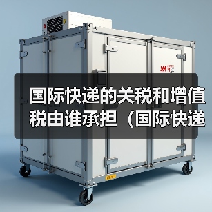 国际快递的关税和增值税由谁承担(国际快递干货知识分享)(图2) 国际快递的关税和增值税由谁承担(国际快递干货知识分享)(图2)