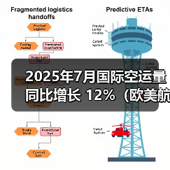 2025年7月国际空运量同比增长 12%（欧美航线需求领跑市场）（图3）