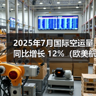 2025年7月国际空运量同比增长 12%（欧美航线需求领跑市场）（图2）