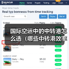 国际空运中的中转港怎么选(哪些中转港效率高)(图2) 国际空运中的中转港怎么选(哪些中转港效率高)(图2)
