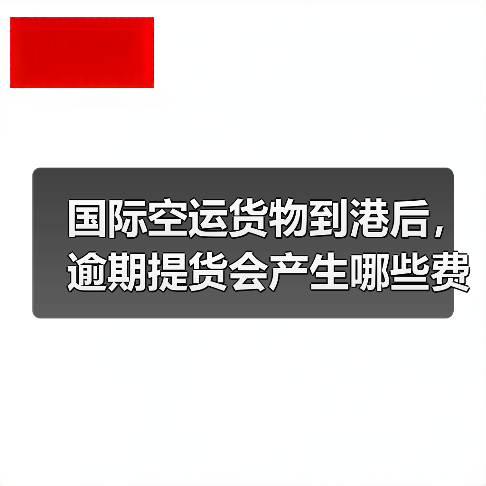 国际空运货物到港后,逾期提货会产生哪些费用(不清楚的跨境电商卖家请注意)(图4) 国际空运货物到港后,逾期提货会产生哪些费用(不清楚的跨境电商卖家请注意)(图4)