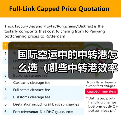 国际空运中的中转港怎么选(哪些中转港效率高)(图4) 国际空运中的中转港怎么选(哪些中转港效率高)(图4)