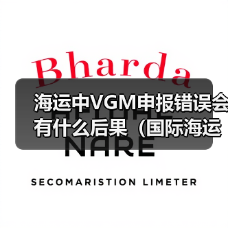 海运中VGM申报错误会有什么后果（国际海运干货知识分享）（图2）