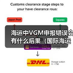 海运中VGM申报错误会有什么后果（国际海运干货知识分享）（图4）