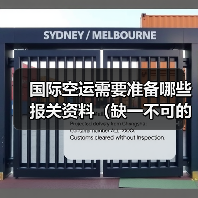 国际空运需要准备哪些报关资料(缺一不可的文件有哪些)(图4) 国际空运需要准备哪些报关资料(缺一不可的文件有哪些)(图4)