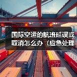 国际空运的航班延误或取消怎么办(应急处理方案)(图4) 国际空运的航班延误或取消怎么办(应急处理方案)(图4)