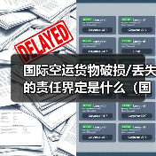国际空运货物破损/丢失的责任界定是什么（国际空运干货知识分享）（图3）