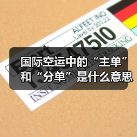 国际空运中的“主单”和“分单”是什么意思(有何区别)(图1) 国际空运中的“主单”和“分单”是什么意思(有何区别)(图1)
