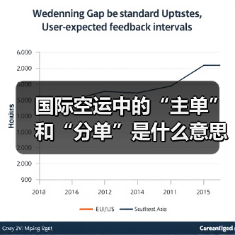 国际空运中的“主单”和“分单”是什么意思(有何区别)(图4) 国际空运中的“主单”和“分单”是什么意思(有何区别)(图4)