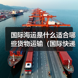 国际海运是什么适合哪些货物运输（国际快递干货知识分享）（图3）
