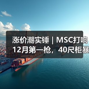 涨价潮实锤 | MSC打响12月第一枪,40尺柜暴涨50%,头部船司或集体跟涨!(图3) 涨价潮实锤 | MSC打响12月第一枪,40尺柜暴涨50%,头部船司或集体跟涨!(图3)