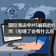 国际海运中HS编码的作用(报错了会有什么后果)(图2) 国际海运中HS编码的作用(报错了会有什么后果)(图2)