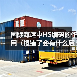 国际海运中HS编码的作用(报错了会有什么后果)(图4) 国际海运中HS编码的作用(报错了会有什么后果)(图4)