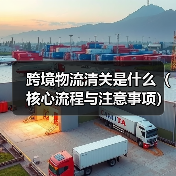 跨境物流清关是什么(核心流程与注意事项)(图2) 跨境物流清关是什么(核心流程与注意事项)(图2)