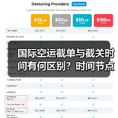 国际空运截单与截关时间有何区别?时间节点解析(图4) 国际空运截单与截关时间有何区别?时间节点解析(图4)