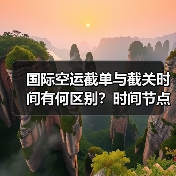 国际空运截单与截关时间有何区别?时间节点解析(图2) 国际空运截单与截关时间有何区别?时间节点解析(图2)