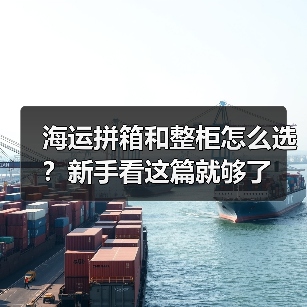 海运拼箱和整柜怎么选？新手看这篇就够了（图2）