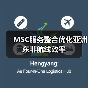 MSC服务整合优化亚洲东非航线效率（图4）