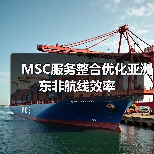 MSC服务整合优化亚洲东非航线效率（图2）