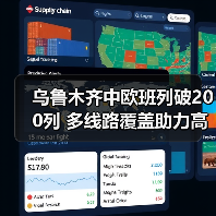 乌鲁木齐中欧班列破200列 多线路覆盖助力高效物流（图4）
