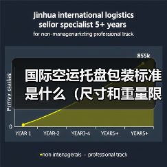 国际空运托盘包装标准是什么(尺寸和重量限制)(图2) 国际空运托盘包装标准是什么(尺寸和重量限制)(图2)