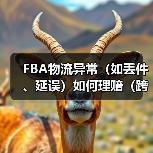 FBA物流异常(如丢件、延误)如何理赔(跨境电商卖家索赔流程是什么)(图3) FBA物流异常(如丢件、延误)如何理赔(跨境电商卖家索赔流程是什么)(图3)