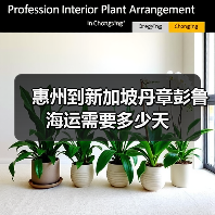 惠州到新加坡丹章彭鲁海运需要多少天（图3）